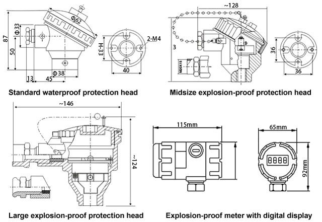 RTD sensor meter and protection head type